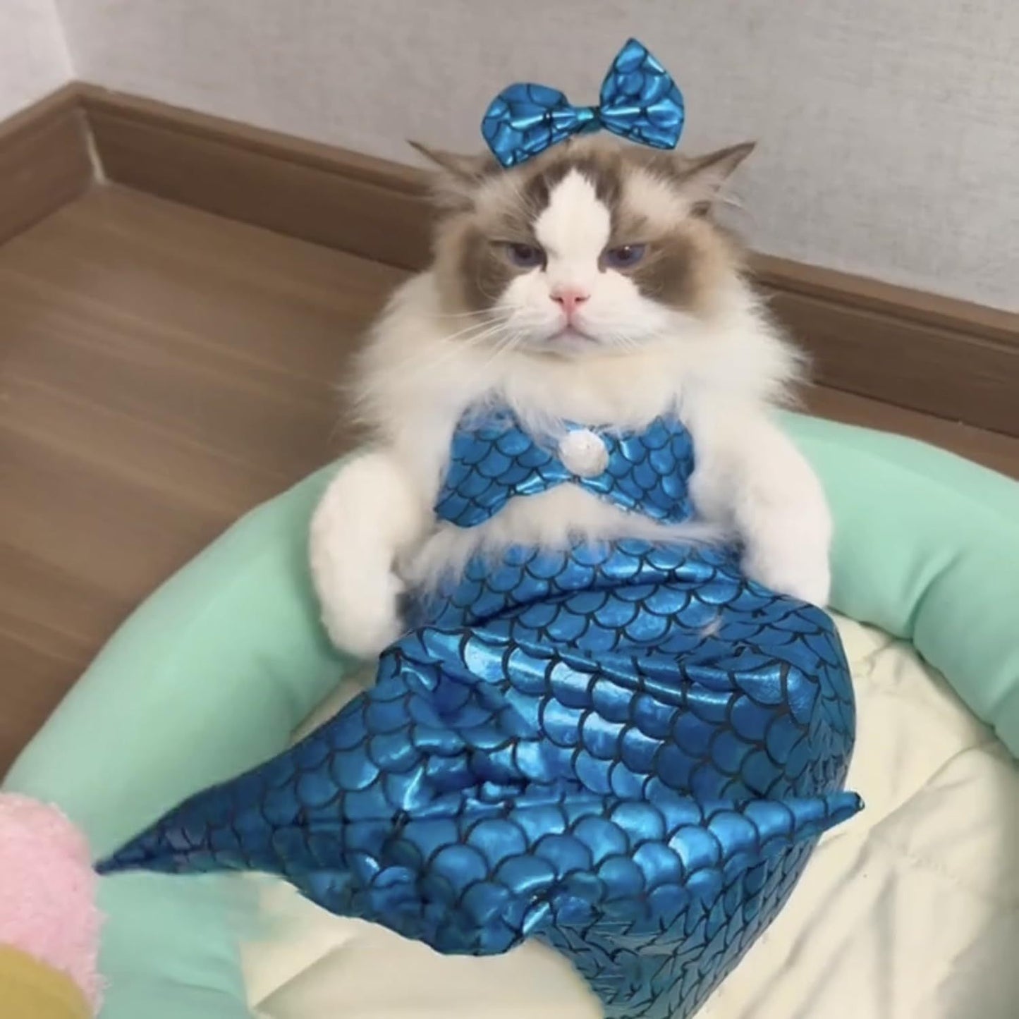 Cat Mermaid Costume Creative Cat And Dog Costumes Funny Cat Mermaid Costume Cat Mermaid Fishtail Dress Puppy Mermaid Fishtail Dress Pet Mermaid Costume Humor Funny Photo Props