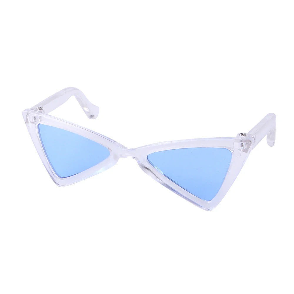 Playful Tinted Eyewear for Pets