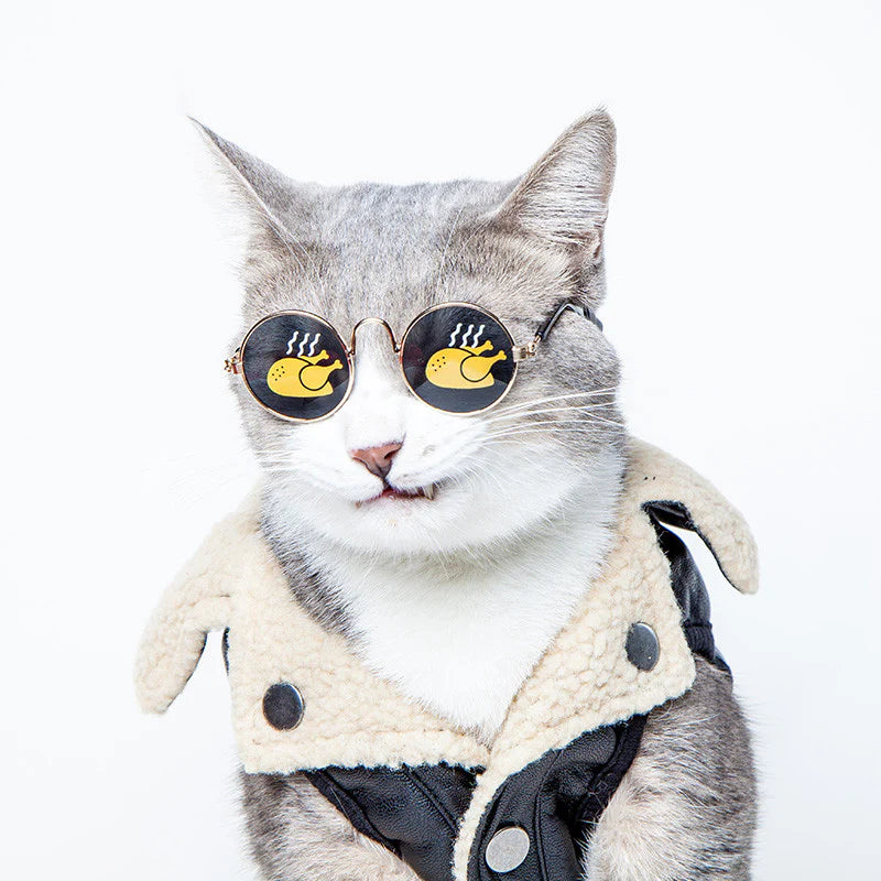 Feline Eyewear Pet Shades