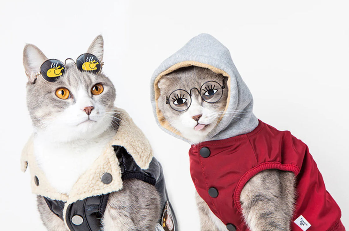 Feline Eyewear Pet Shades