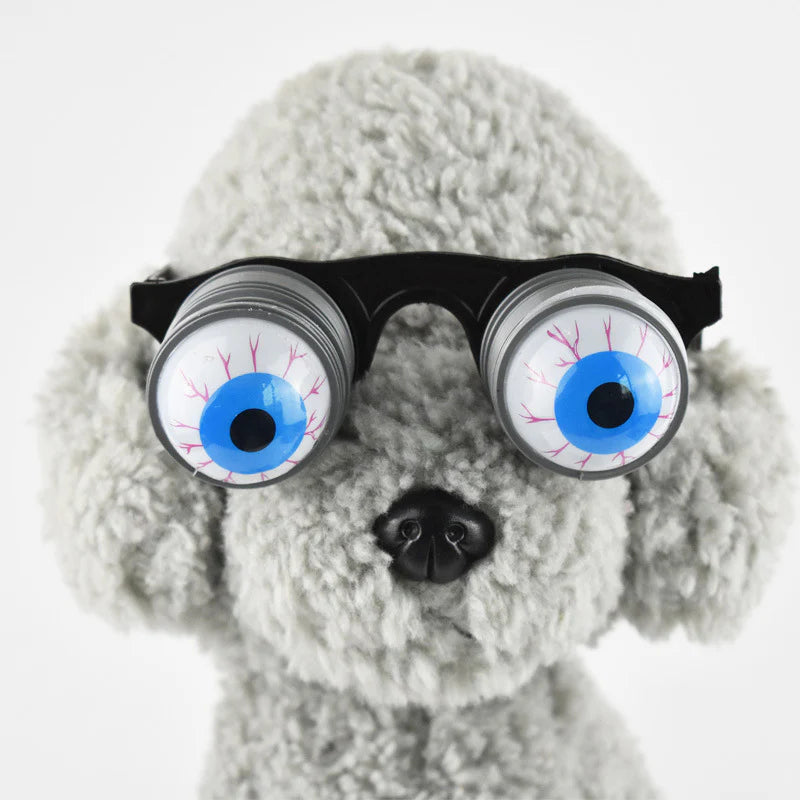 Playful Pet Eyewear Fun Spring Spectacles