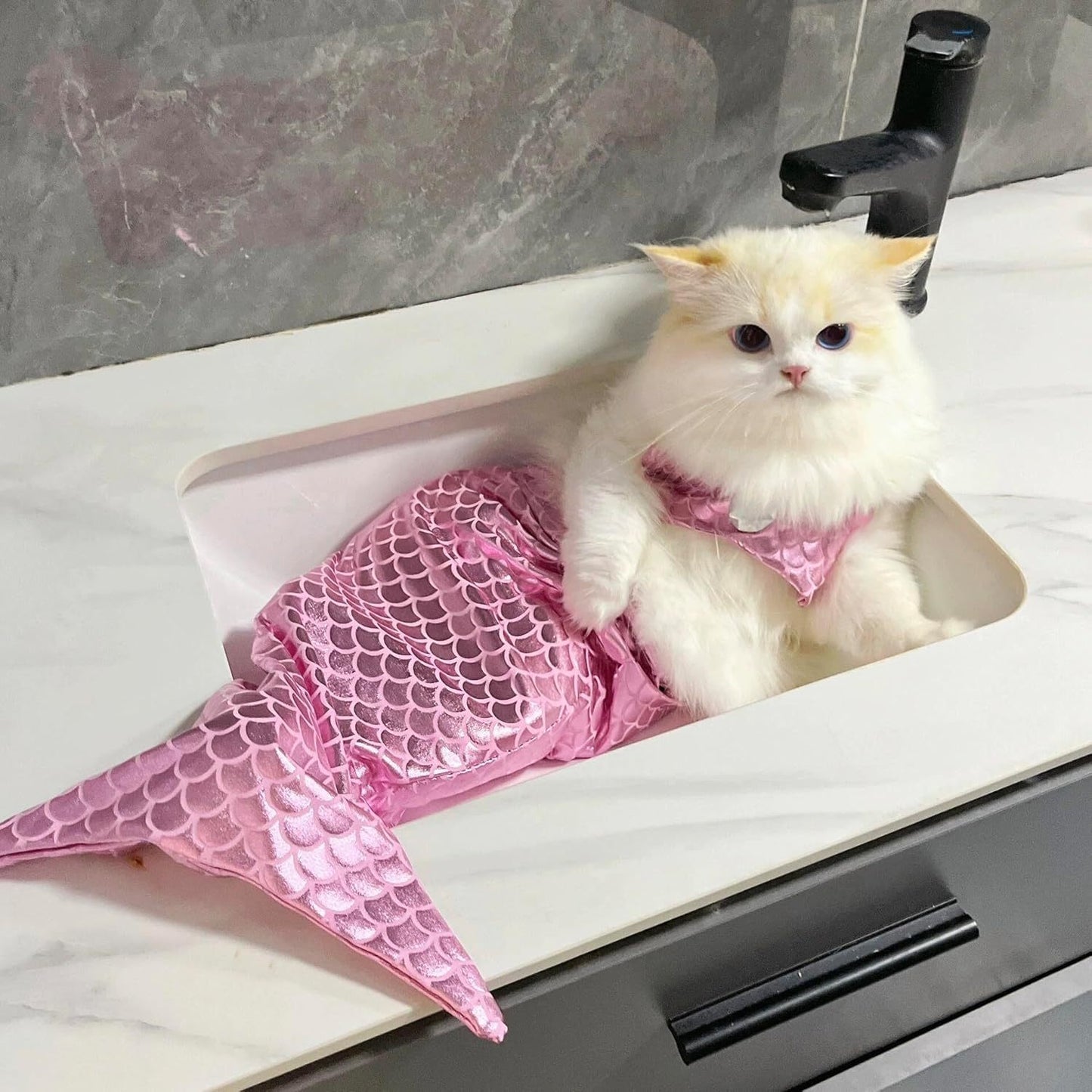 Cat Mermaid Costume Creative Cat And Dog Costumes Funny Cat Mermaid Costume Cat Mermaid Fishtail Dress Puppy Mermaid Fishtail Dress Pet Mermaid Costume Humor Funny Photo Props