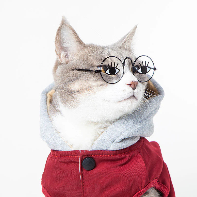 Feline Eyewear Pet Shades